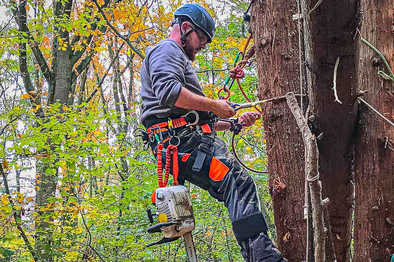 Intimidatie fictie appel Werken in de boom - The Treeclimbing Company